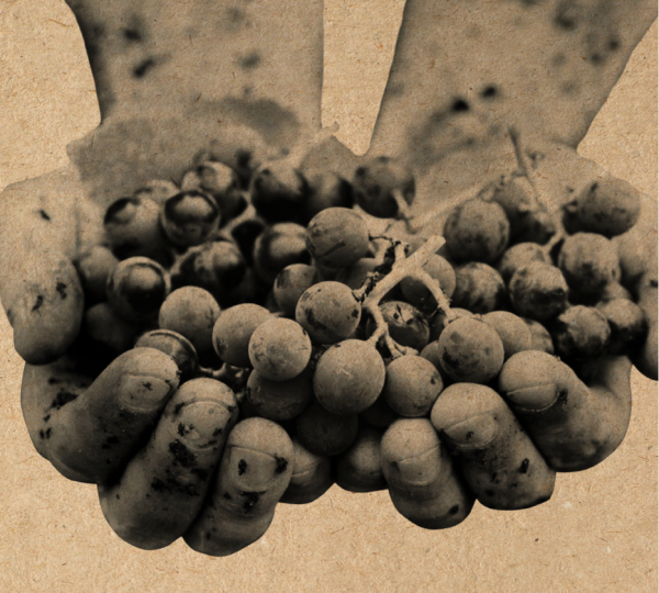 Wein.Werk – Das Charakter Kollektiv