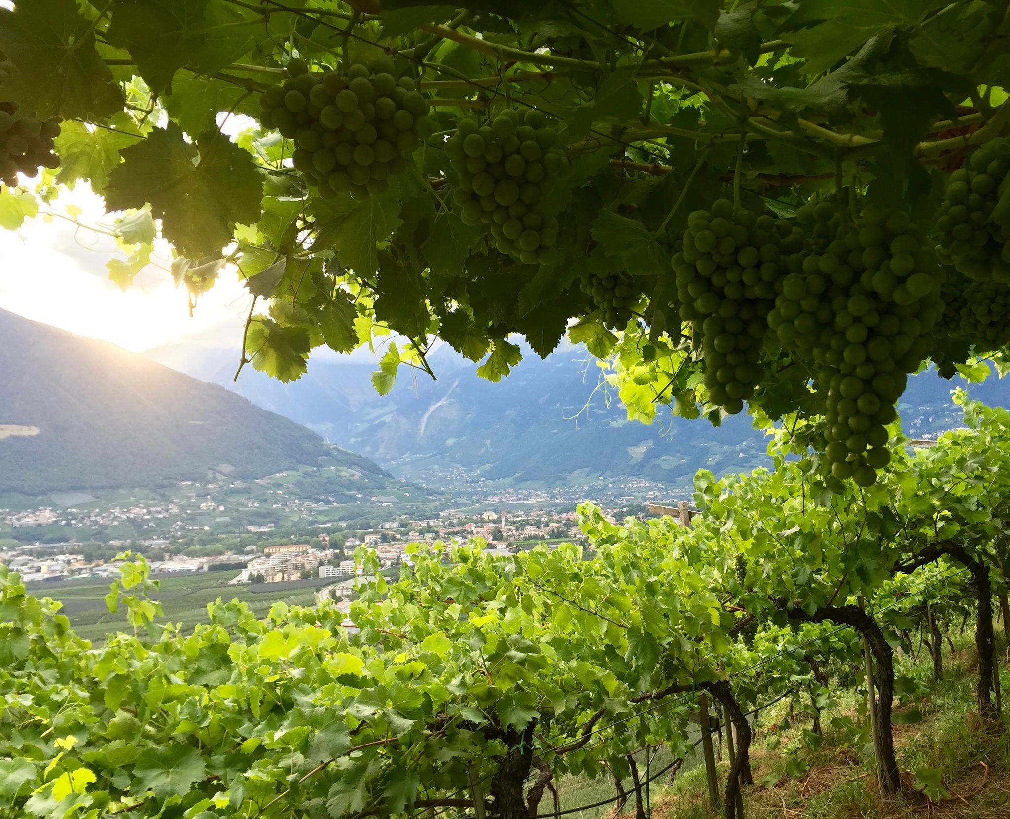Weingut Pratenberg