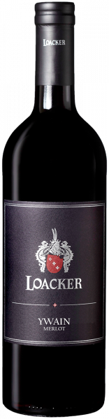 Merlot "Ywain" Bio 2024 - 0.75l - Weingut Loacker