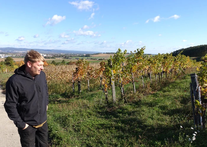 Weingut Rosi Schuster