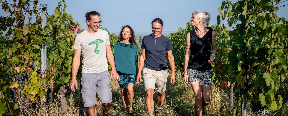 Weingut Ernst Triebaumer