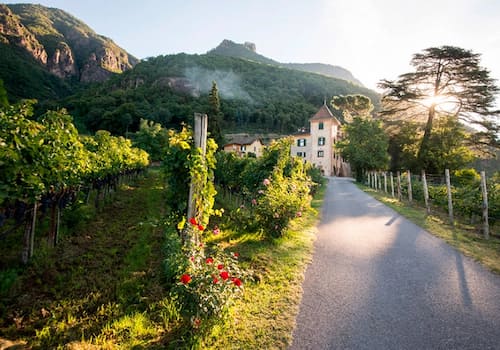 Weingut Kornell