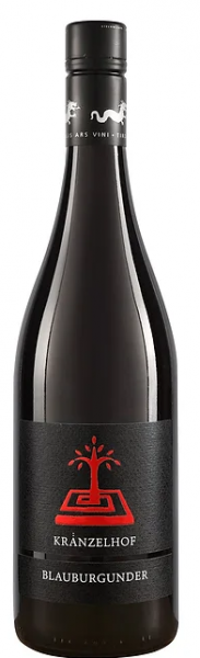 Blauburgunder 2022 - 0.75l - Weingut Kränzelhof 