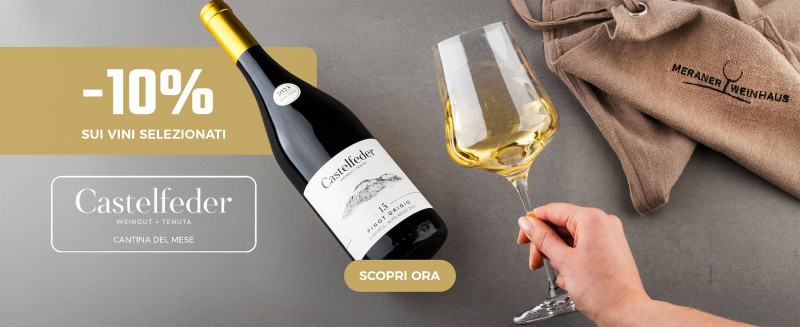 media/image/Banner-Castelfeder-Desktop-IT-Kopie.jpg