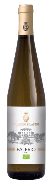 Falerio dei Colli Ascolani BIO 2024 - 0.75l - Saladini Pilastri