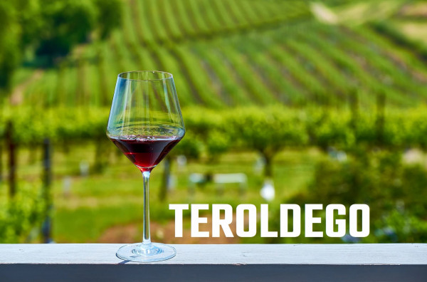 Alles über Teroldego, den Prinzen des Trentino