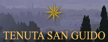 Tenuta San Guido Logo