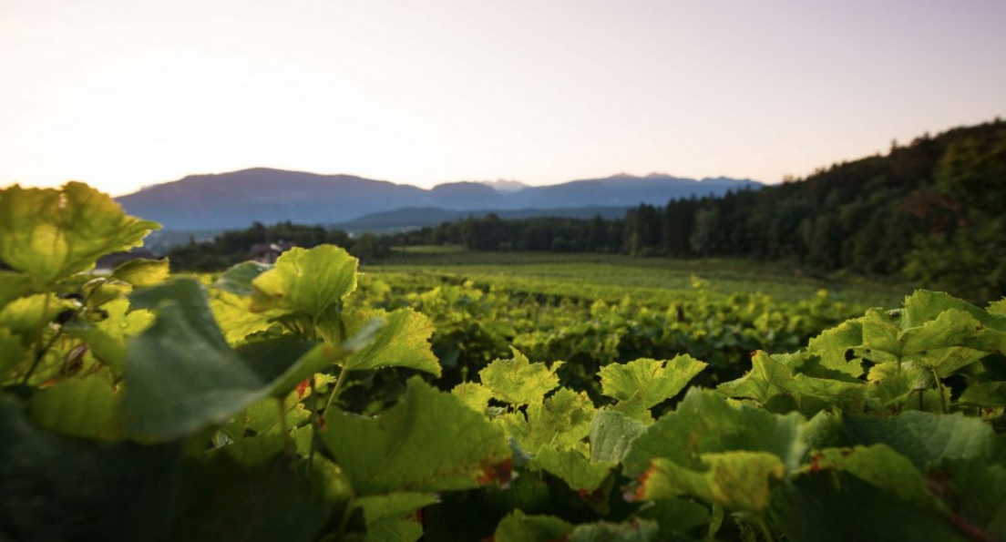 Thomas Niedermayr - Gandberg