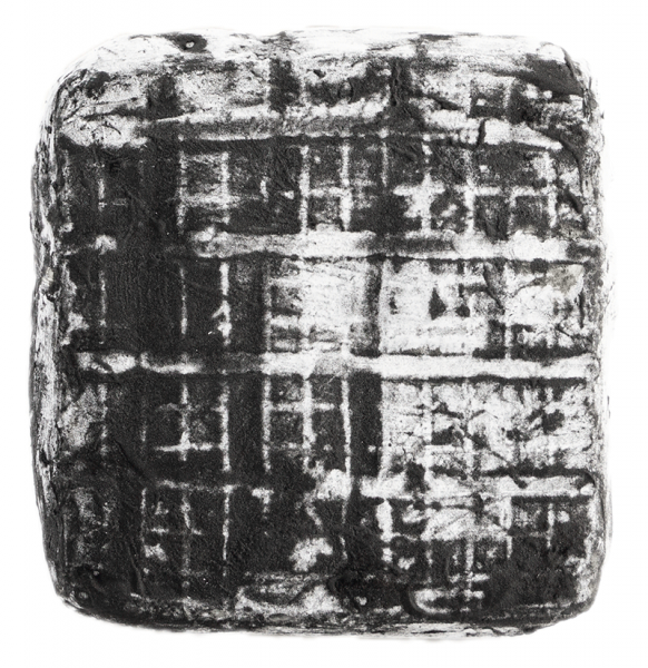 Ziegenweichkäse "Carbonito" - 0.2kg - Capriz Feinkäserei