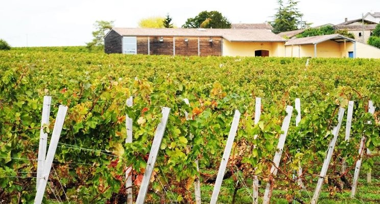 Château Clos De Boüard
