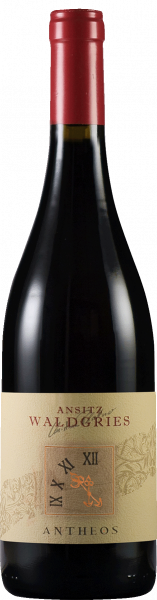 St. Magdalener Klassisch "Antheos" 2023 - 0.75l - Ansitz Waldgries