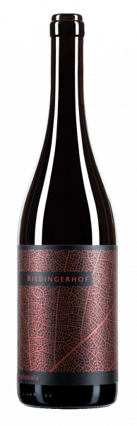 Vernatsch "Fraschiata" Bio 2022 - 0.75l - Weingut Riedingerhof