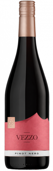 IGT "Trevenezie" Pinot Nero Vezzo 2024 - 0.75l - Export Union Italia GmBH