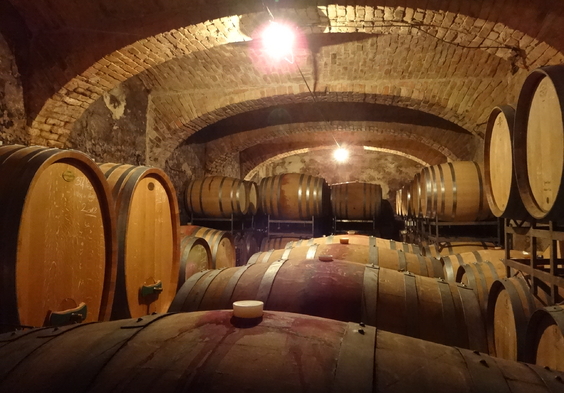 Weingut Ernst Triebaumer