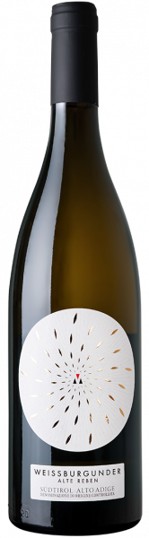 Pinot Bianco Vecchie Vigne 2021 - 0.75l - MARTINI K. & SOHN KG