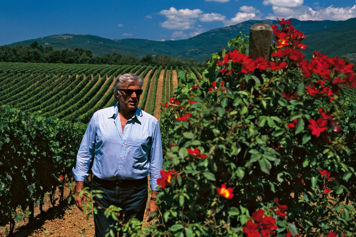 TENUTA SETTE PONTI SRL