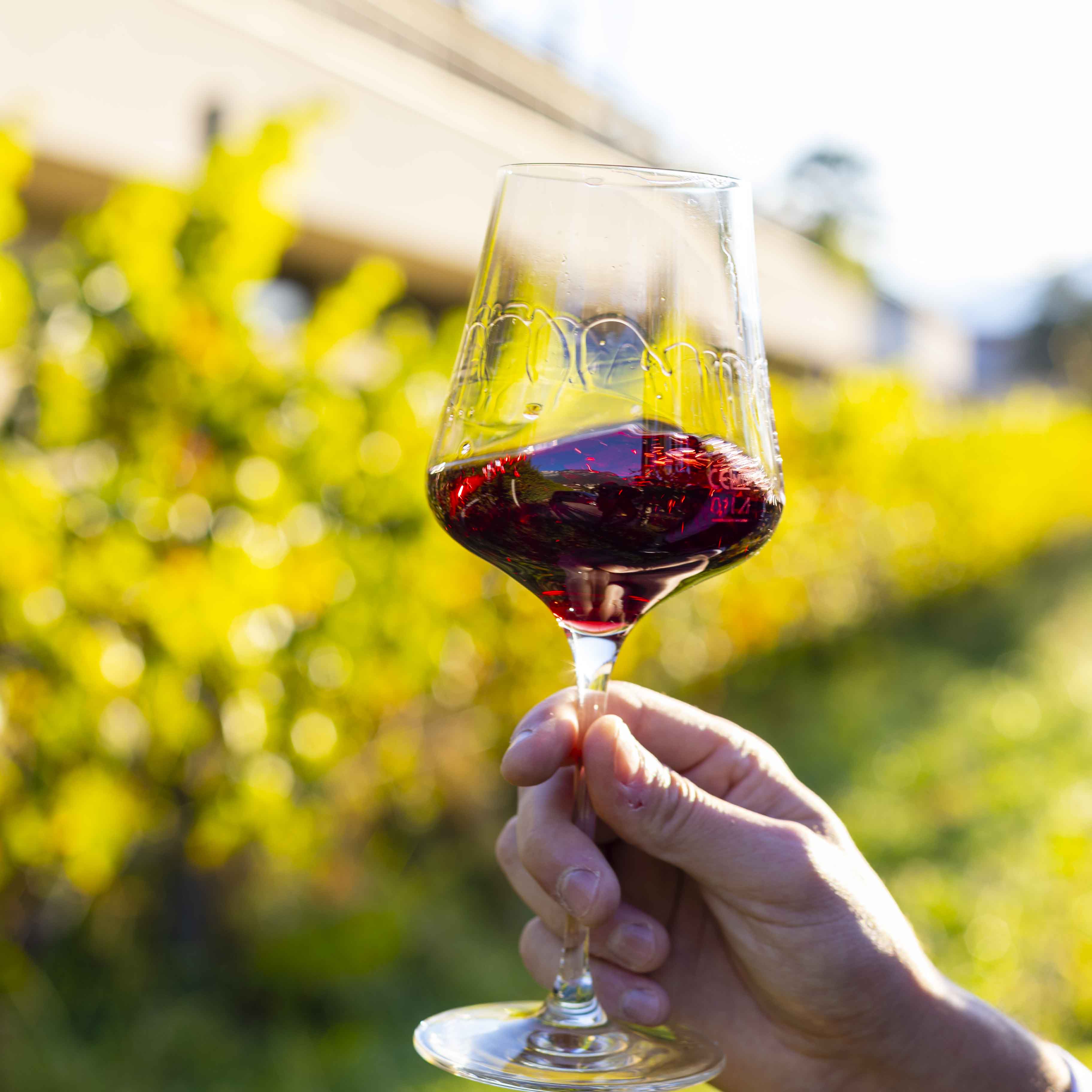 Südtiroler Winzerkeller