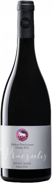 Blauburgunder "Praesulis" 2022 - 0.75l - Gumphof