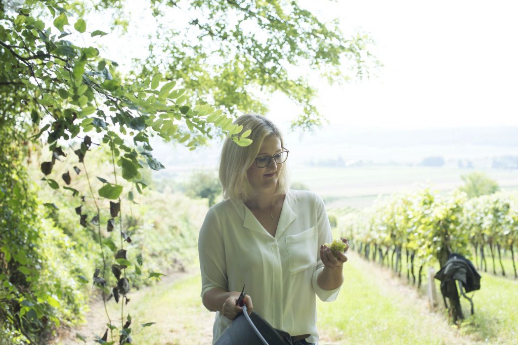 Weingut Michaela Riedmüller