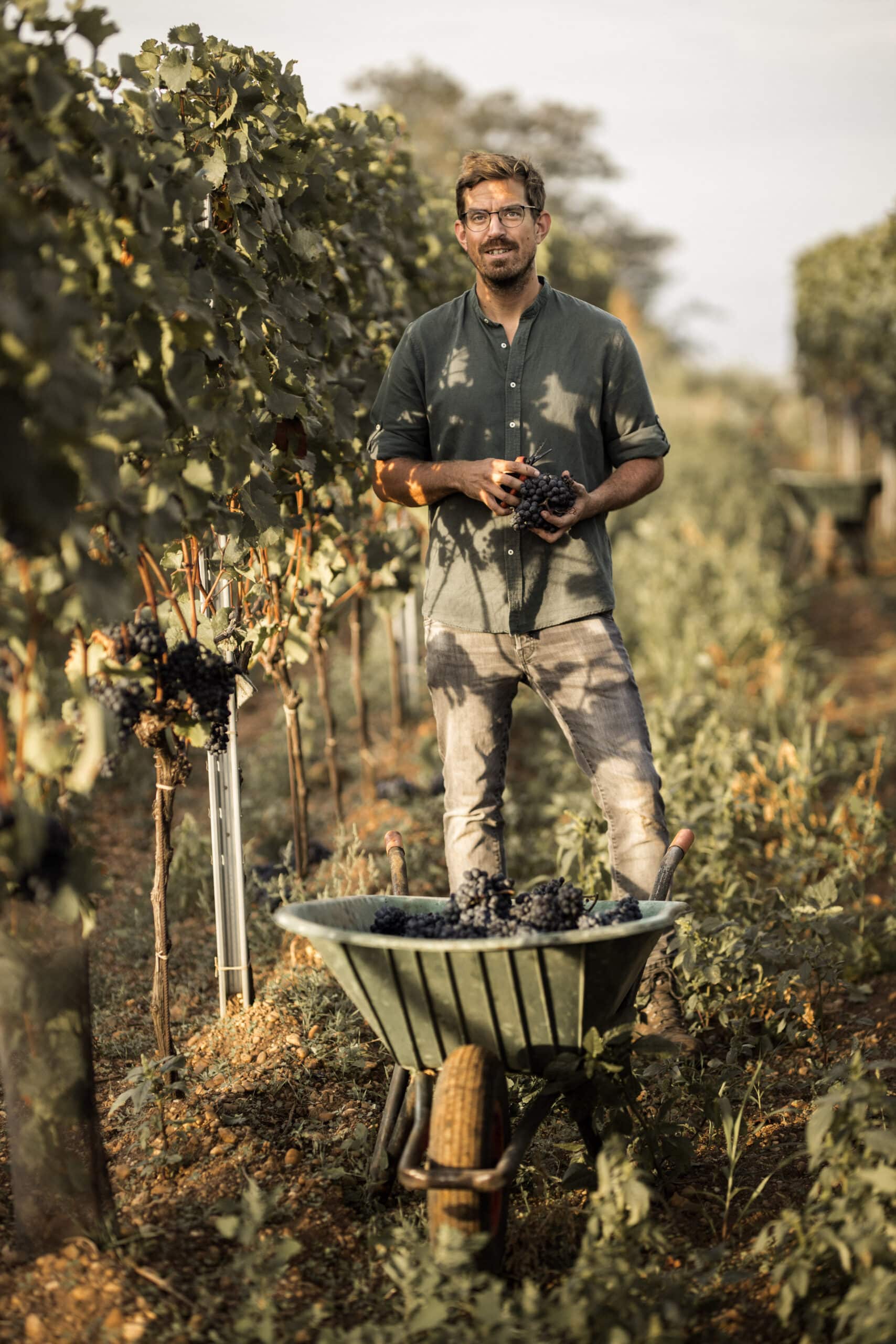 Weingut Andreas Gsellmann
