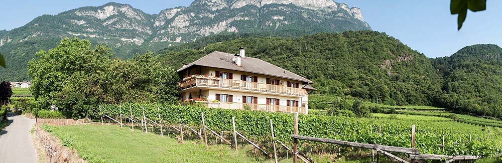 Tröpfltalhof - Bioweinhof 